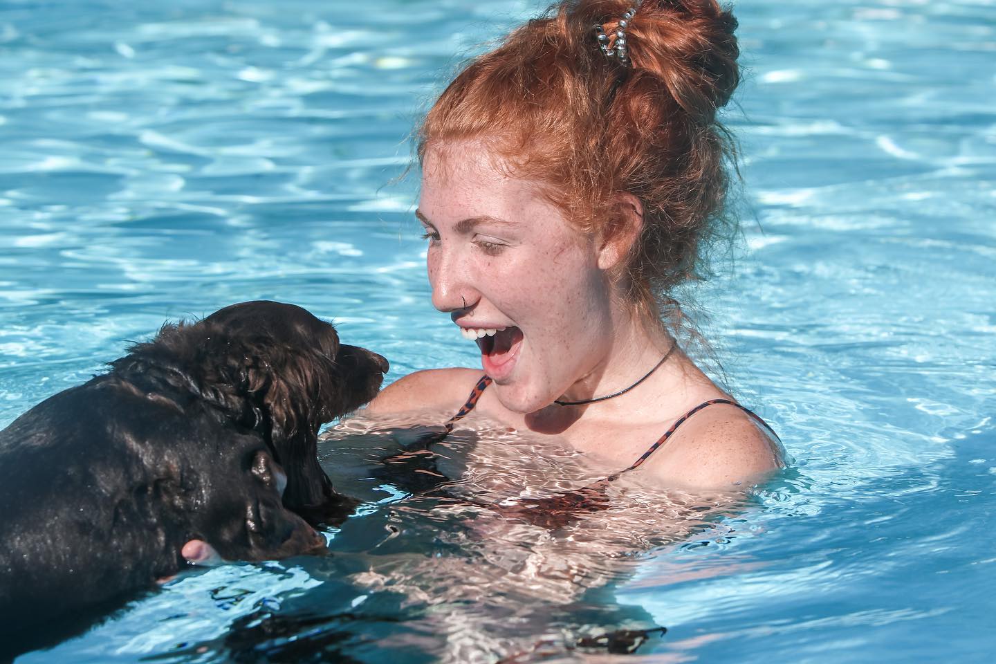 Dachshund playing in pool with girl