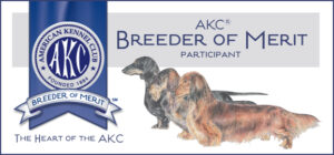 AKC/American Kennel Club Breeder of Merit Participant banner
