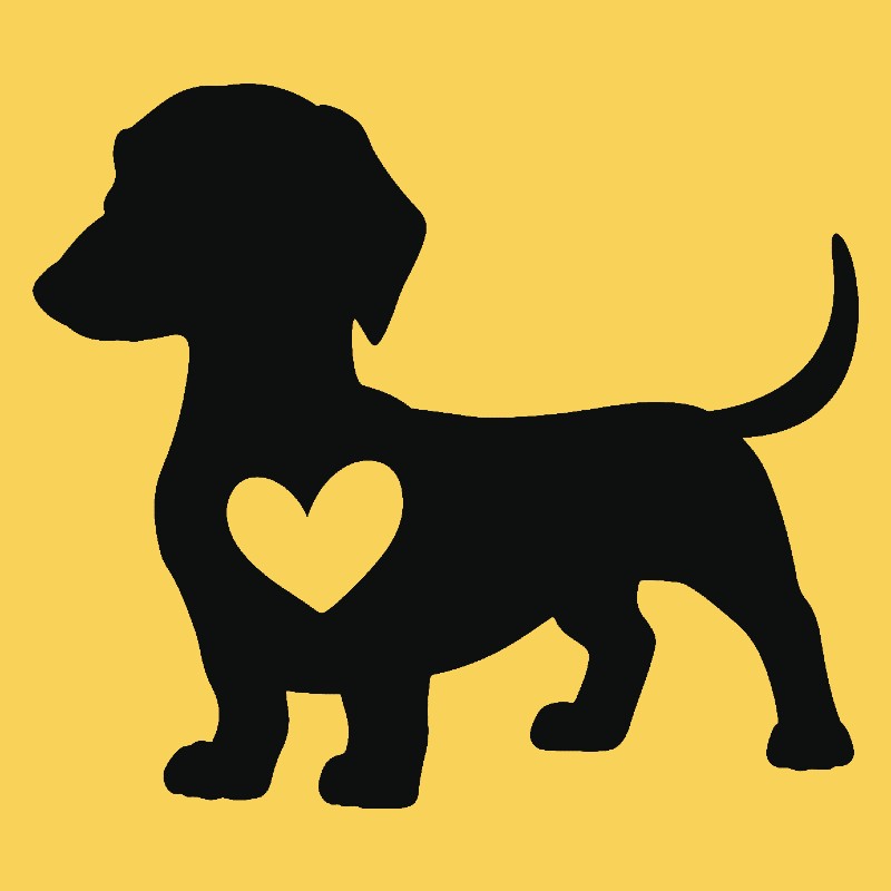 Dog, Daschund heart, cute dog, isolated on yellow background. Vector art.