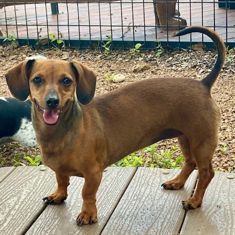 River - Rescue