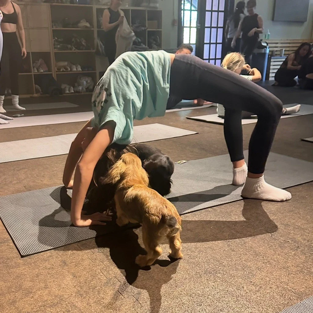 Dream A Dream Yoga Event with participant and dogs