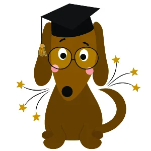 Smart dachshund student in graduate cap.